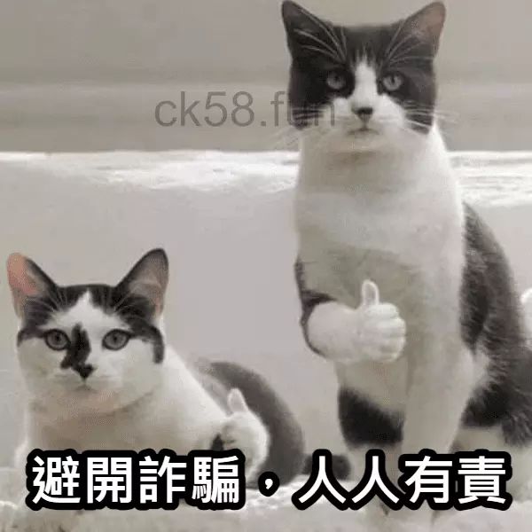 避開線上娛樂城詐騙，玩家會員人人有責